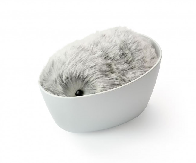 Робот-питомец Casio AI Pet Moflin Color: SILVER